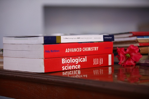 Learning at Modern School Rishikesh